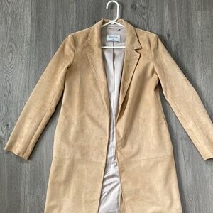 Aritzia coat
